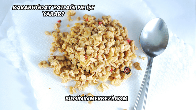 Karabuğday Patlağı Ne İşe Yarar?
