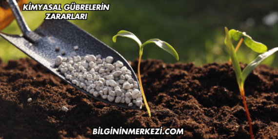 Kimyasal Gübrelerin Zararları