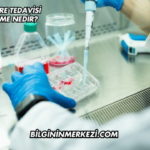 Kök Hücre Tedavisi Gençleşme Nedir?