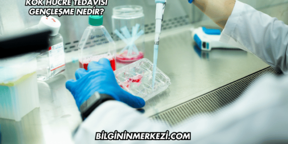 Kök Hücre Tedavisi Gençleşme Nedir?