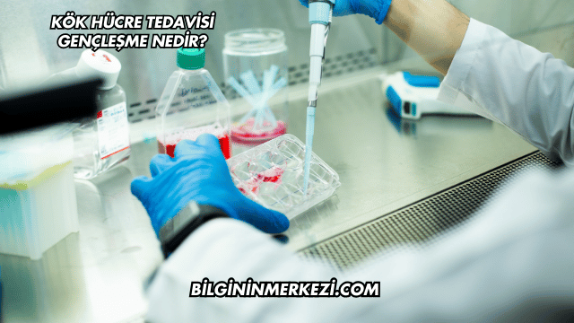 Kök Hücre Tedavisi Gençleşme Nedir?