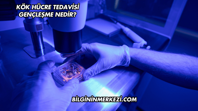 Kök Hücre Tedavisi Gençleşme Nedir?