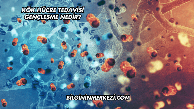 Kök Hücre Tedavisi Gençleşme Nedir?
