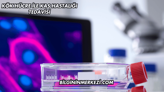 Kök Hücre ile Kas Hastalığı Tedavisi