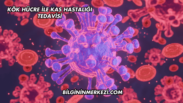 Kök Hücre ile Kas Hastalığı Tedavisi