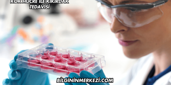 Kök Hücre ile Kıkırdak Tedavisi