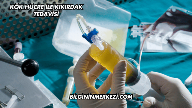 Kök Hücre ile Kıkırdak Tedavisi