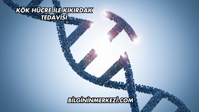 Kök Hücre ile Kıkırdak Tedavisi