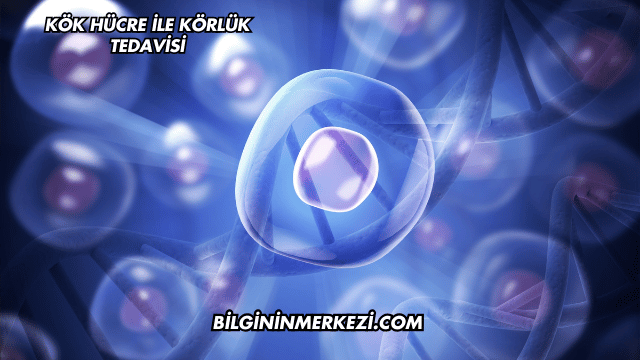 Kök Hücre ile Körlük Tedavisi