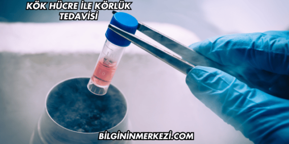 Kök Hücre ile Körlük Tedavisi