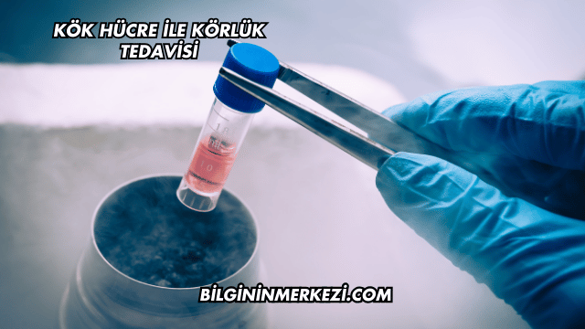 Kök Hücre ile Körlük Tedavisi