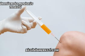 Kök Hücre ile Menisküs Tedavisi