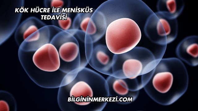 Kök Hücre ile Menisküs Tedavisi