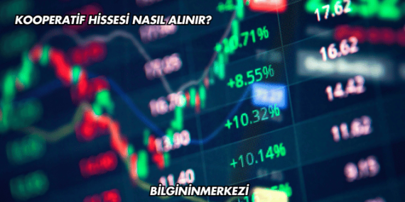 Kooperatif Hissesi Nasıl Alınır?