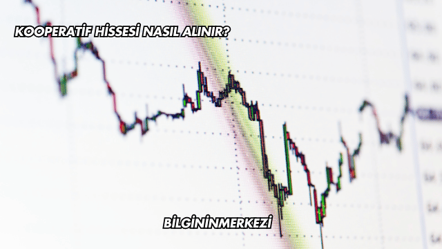 Kooperatif Hissesi Nasıl Alınır?