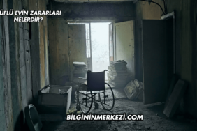 Küflü Evin Zararları Nelerdir?