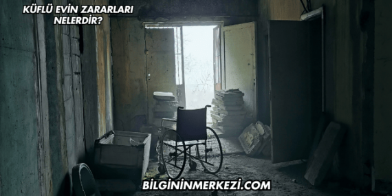 Küflü Evin Zararları Nelerdir?