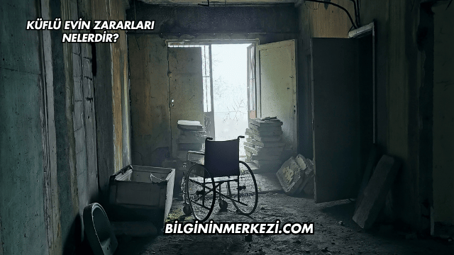 Küflü Evin Zararları Nelerdir?