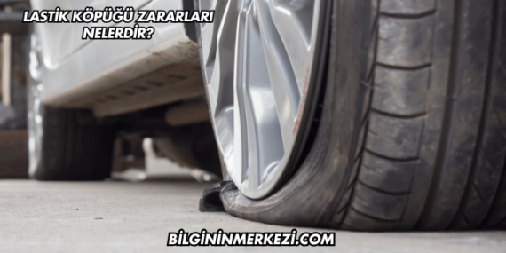 Lastik Köpüğü Zararları Nelerdir?