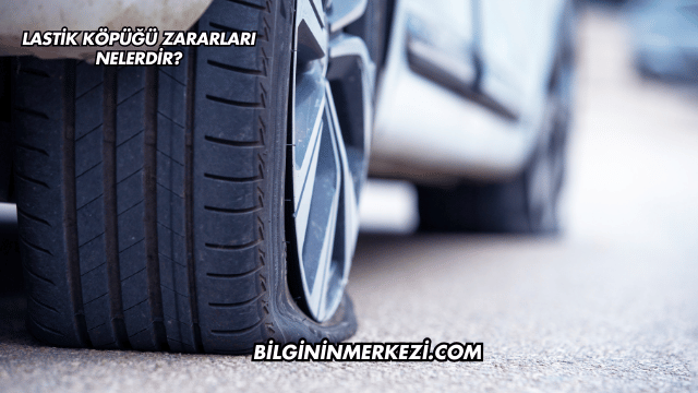 Lastik Köpüğü Zararları Nelerdir?