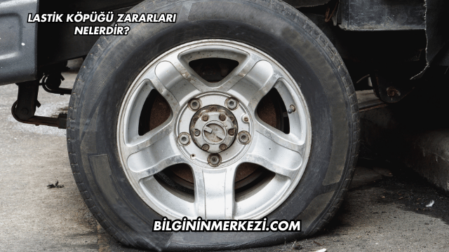 Lastik Köpüğü Zararları Nelerdir?