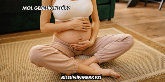 Mol Gebelik Nedir?