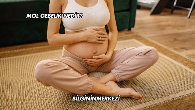 Mol Gebelik Nedir?