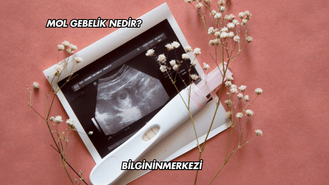 Mol Gebelik Nedir?