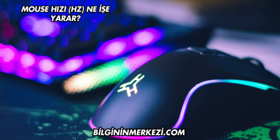 Mouse Hızı (Hz) Ne İşe Yarar?