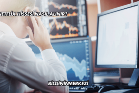 Netflix Hissesi Nasıl Alınır?