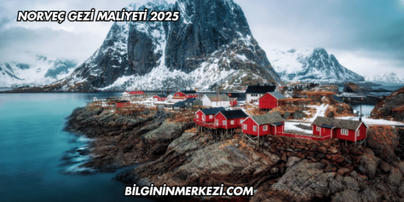 Norveç Gezi Maliyeti 2025