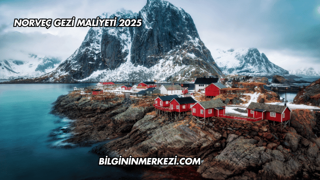 Norveç Gezi Maliyeti 2025