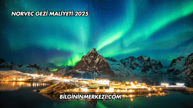 Norveç Gezi Maliyeti 2025