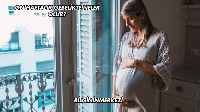 On Haftalık Gebelikte Neler Olur?
