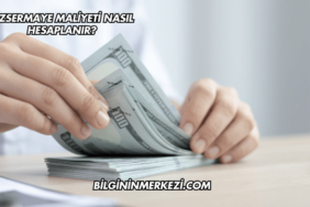 Özsermaye Maliyeti Nasıl Hesaplanır?