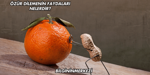 Özür Dilemenin Faydaları Nelerdir?