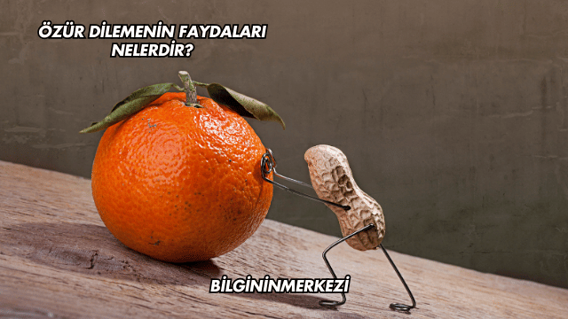 Özür Dilemenin Faydaları Nelerdir?