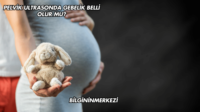 Pelvik Ultrasonda Gebelik Belli Olur mu?
