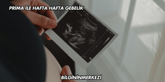 Prima ile Hafta Hafta Gebelik