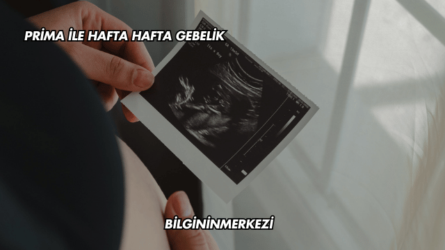 Prima ile Hafta Hafta Gebelik