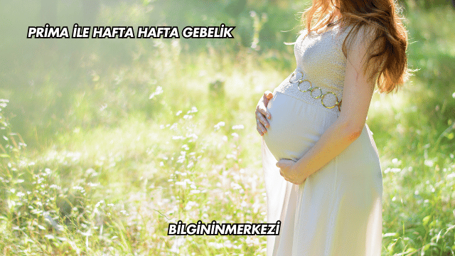 Prima ile Hafta Hafta Gebelik