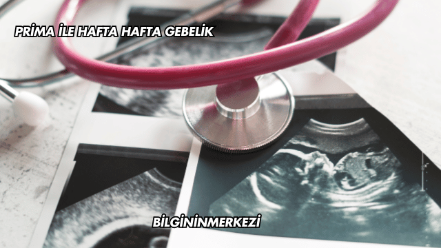 Prima ile Hafta Hafta Gebelik