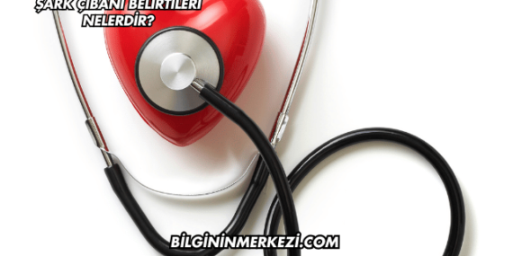 Şark Çıbanı Belirtileri Nelerdir?