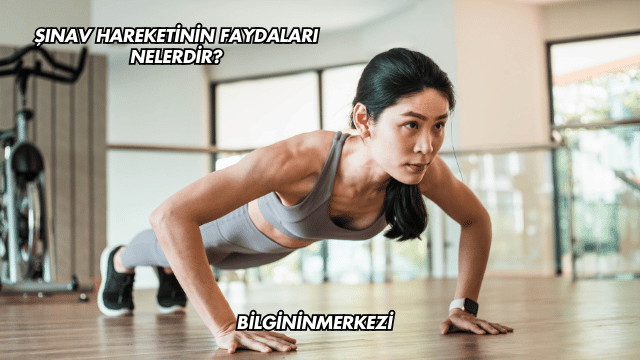Şınav Hareketinin Faydaları Nelerdir?