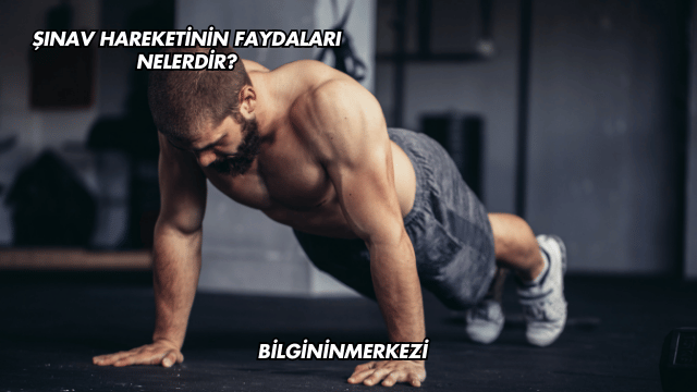 Şınav Hareketinin Faydaları Nelerdir?