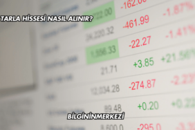 Tarla Hissesi Nasıl Alınır?