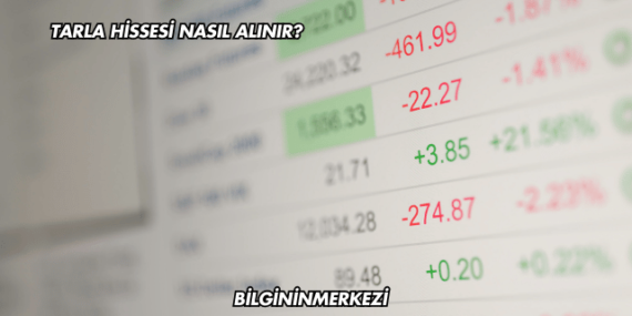 Tarla Hissesi Nasıl Alınır?