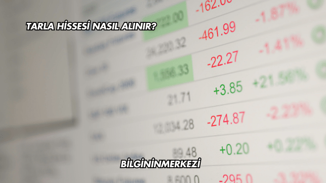 Tarla Hissesi Nasıl Alınır?