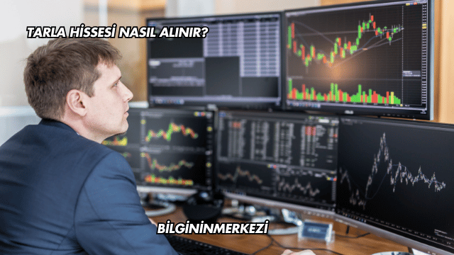 Tarla Hissesi Nasıl Alınır?