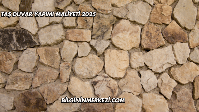 Taş Duvar Yapımı Maliyeti 2025